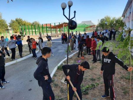 16 қазан күні Оқушыларды еңбекке баулу мақсатында "Өз ағашыңды отырғыз" акциясы ұйымдастырылды. Оқушылар қоғамдық жұмысқа белсене араласып, мектеп аул